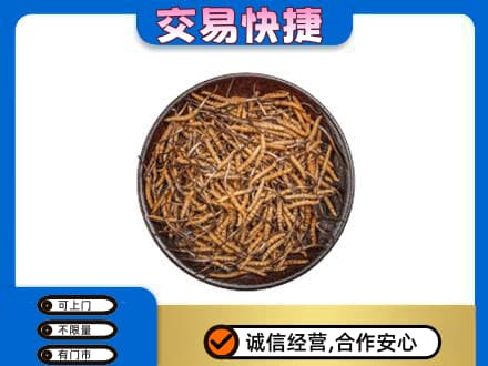烟台回收散虫草